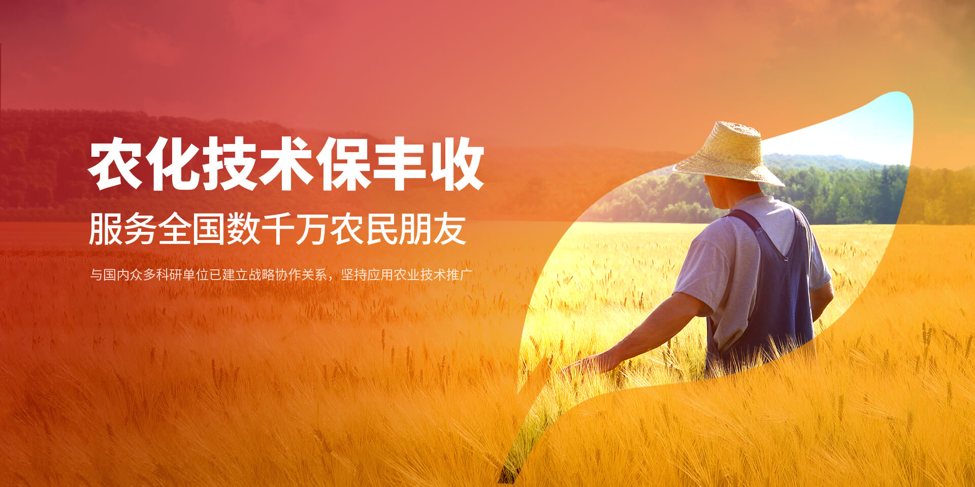 安阳黄瓜视频在线免费观看新肥科技有限公司