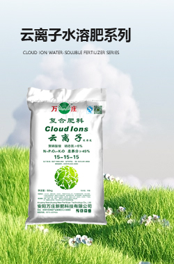 云离子黄瓜黄色网站肥系列