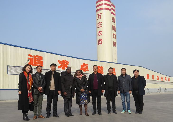 栽下梧桐树，引得凤凰来 ——多哥共和国农业部官员一行考察黄瓜视频在线免费观看新肥
